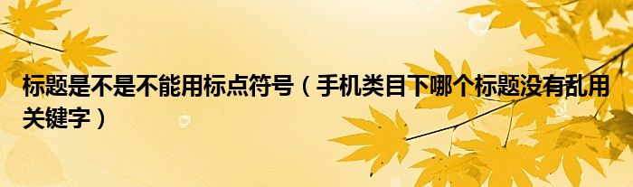 标题是不是不能用标点符号（手机类目下哪个标题没有乱用关键字）