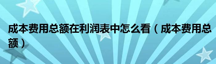 成本费用总额在利润表中怎么看（成本费用总额）