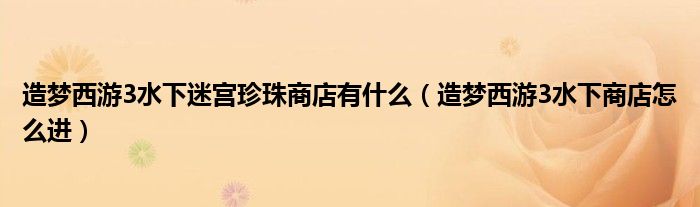 造梦西游3水下迷宫珍珠商店有什么（造梦西游3水下商店怎么进）