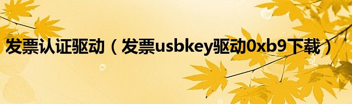 发票认证驱动（发票usbkey驱动0xb9下载）