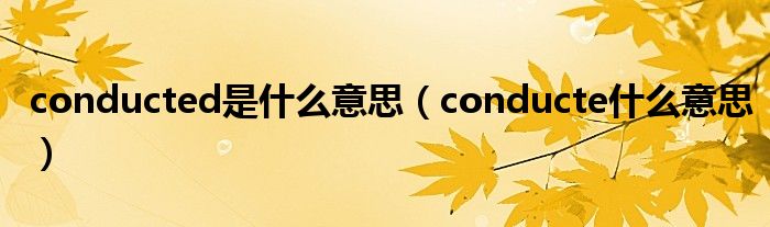 conducted是什么意思（conducte什么意思）