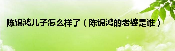 陈锦鸿儿子怎么样了（陈锦鸿的老婆是谁）