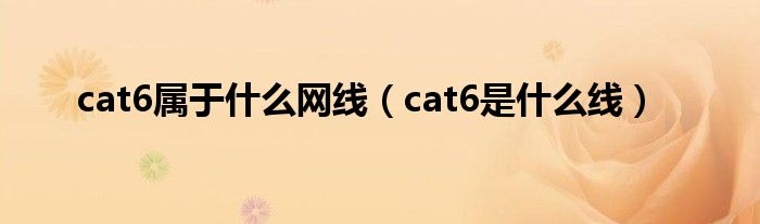 cat6属于什么网线（cat6是什么线）