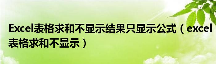 Excel表格求和不显示结果只显示公式（excel表格求和不显示）