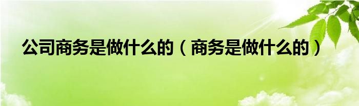 公司商务是做什么的（商务是做什么的）