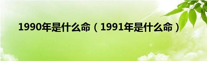 1990年是什么命（1991年是什么命）