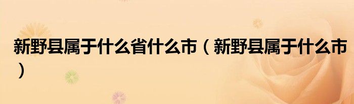 新野县属于什么省什么市（新野县属于什么市）