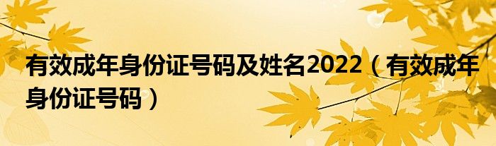 有效成年身份证号码及姓名2022（有效成年身份证号码）