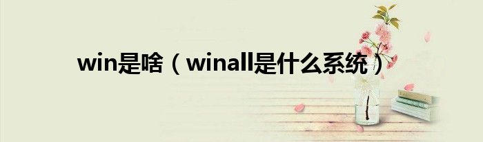 win是啥（winall是什么系统）