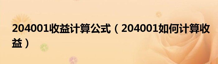 204001收益计算公式（204001如何计算收益）