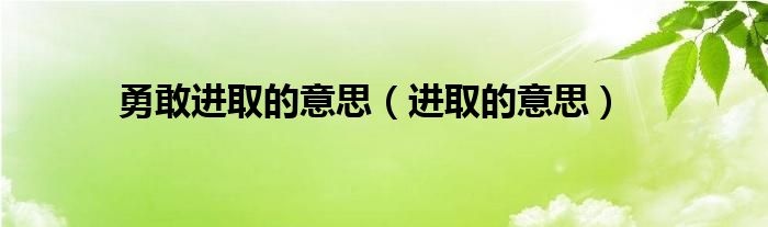 勇敢进取的意思（进取的意思）