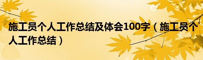 施工员个人工作总结及体会100字（施工员个人工作总结）