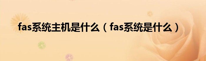 fas系统主机是什么（fas系统是什么）