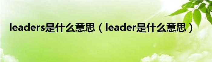 leaders是什么意思（leader是什么意思）