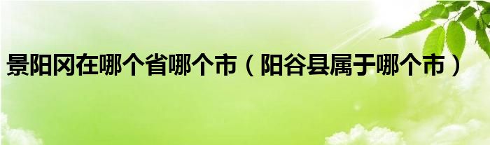 景阳冈在哪个省哪个市（阳谷县属于哪个市）