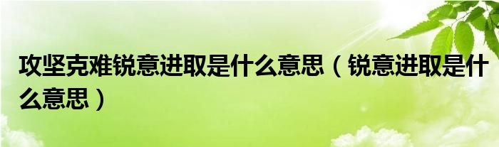 攻坚克难锐意进取是什么意思（锐意进取是什么意思）