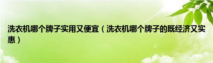 洗衣机哪个牌子实用又便宜（洗衣机哪个牌子的既经济又实惠）