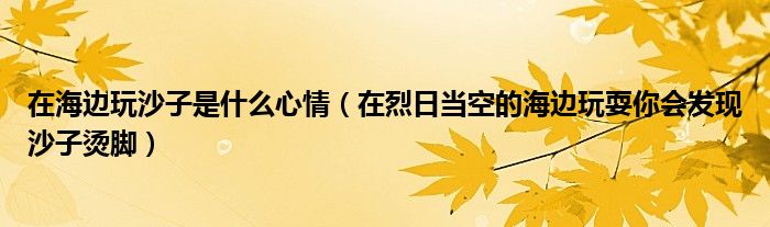 在海边玩沙子是什么心情（在烈日当空的海边玩耍你会发现沙子烫脚）