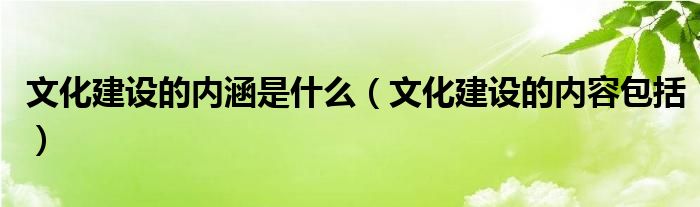 文化建设的内涵是什么（文化建设的内容包括）