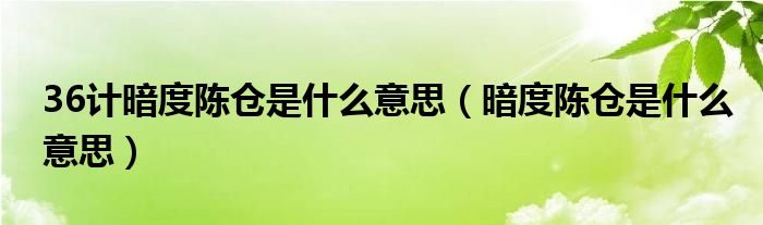 36计暗度陈仓是什么意思（暗度陈仓是什么意思）