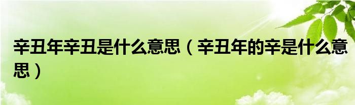 辛丑年辛丑是什么意思（辛丑年的辛是什么意思）