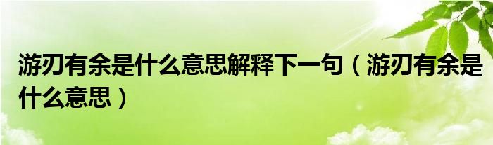 游刃有余是什么意思解释下一句（游刃有余是什么意思）