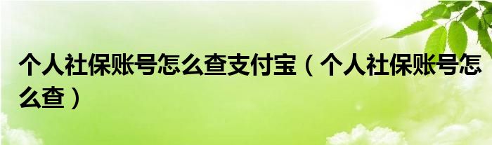 个人社保账号怎么查支付宝（个人社保账号怎么查）