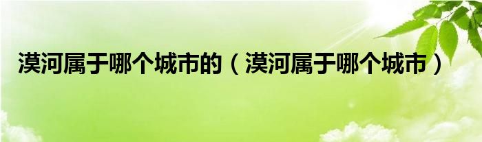 漠河属于哪个城市的（漠河属于哪个城市）