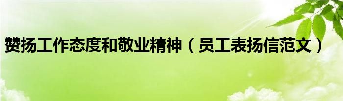 赞扬工作态度和敬业精神（员工表扬信范文）