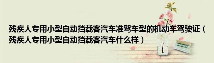 残疾人专用小型自动挡载客汽车准驾车型的机动车驾驶证（残疾人专用小型自动挡载客汽车什么样）