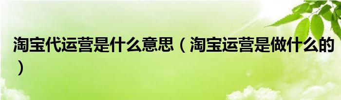 淘宝代运营是什么意思（淘宝运营是做什么的）