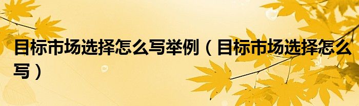 目标市场选择怎么写举例（目标市场选择怎么写）