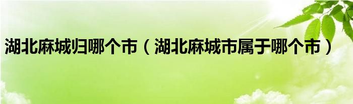 湖北麻城归哪个市（湖北麻城市属于哪个市）