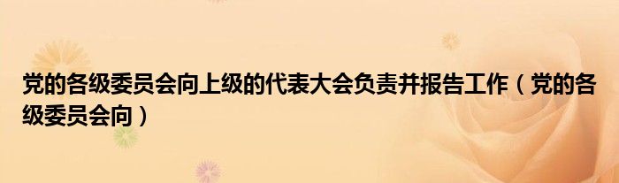 党的各级委员会向上级的代表大会负责并报告工作（党的各级委员会向）