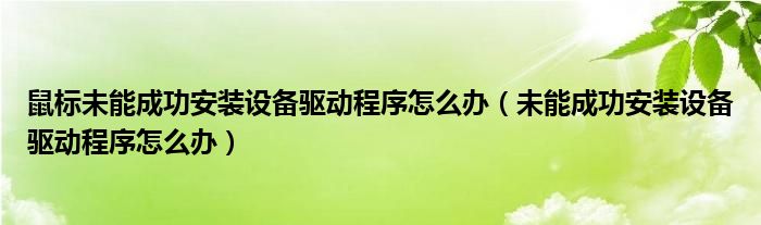 鼠标未能成功安装设备驱动程序怎么办（未能成功安装设备驱动程序怎么办）