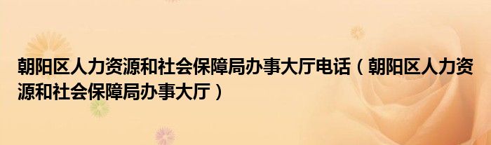 朝阳区人力资源和社会保障局办事大厅电话（朝阳区人力资源和社会保障局办事大厅）