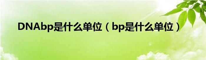 DNAbp是什么单位（bp是什么单位）