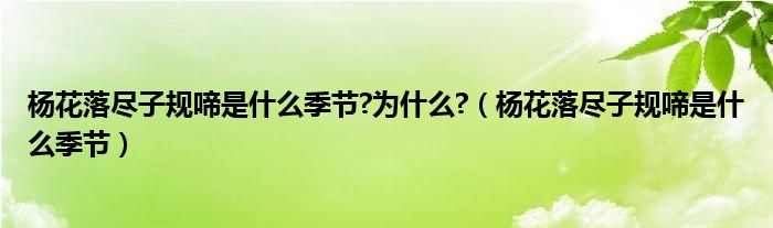 杨花落尽子规啼是什么季节?为什么?（杨花落尽子规啼是什么季节）