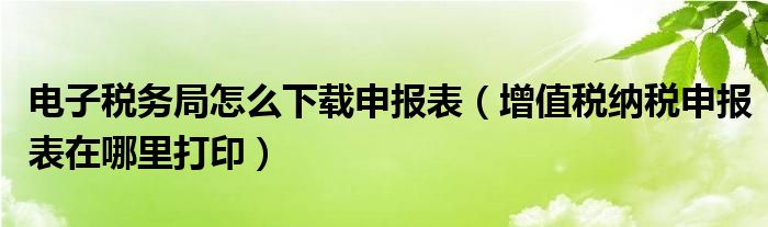 电子税务局怎么下载申报表（增值税纳税申报表在哪里打印）