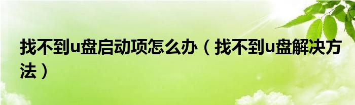 找不到u盘启动项怎么办（找不到u盘解决方法）