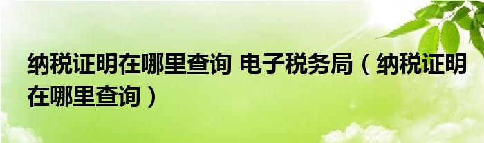 纳税证明在哪里查询 电子税务局（纳税证明在哪里查询）