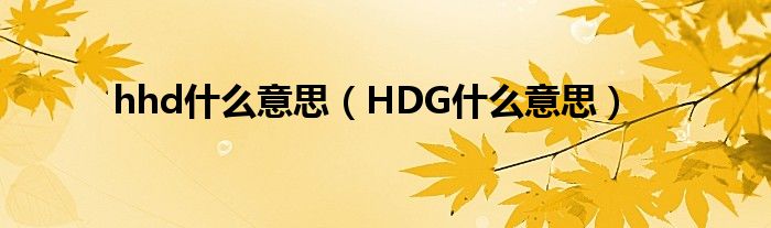 hhd什么意思（HDG什么意思）