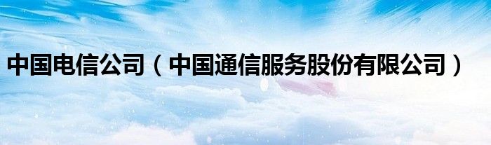 中国电信公司（中国通信服务股份有限公司）