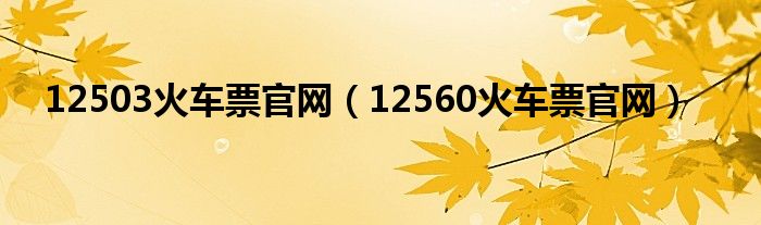 12503火车票官网（12560火车票官网）