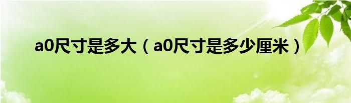 a0尺寸是多大（a0尺寸是多少厘米）