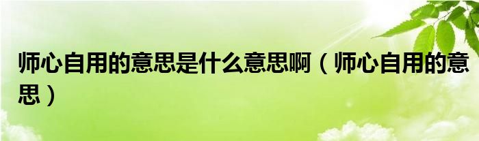 师心自用的意思是什么意思啊（师心自用的意思）