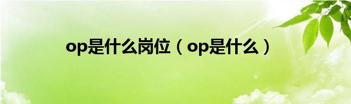 op是什么岗位（op是什么）