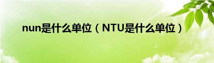 nun是什么单位（NTU是什么单位）