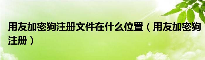 用友加密狗注册文件在什么位置（用友加密狗注册）