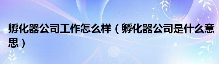 孵化器公司工作怎么样（孵化器公司是什么意思）